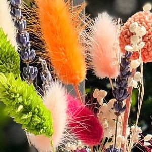 Balletcore Michael Lauren midi dress size XS - NWOT